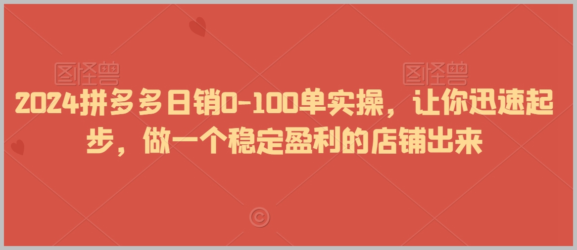 2024拼多多日销0-100单实操，让你迅速起步，做一个稳定盈利的店铺出来