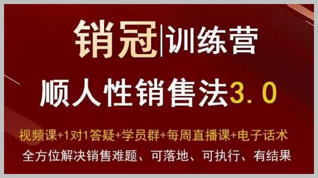 爆款!销冠训练营3.0之顺人性销售法,全方位解决销售难题、可落地、可执行、有结果