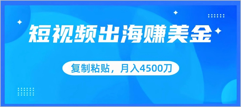 月入4500美刀不是梦:中视频出海赚美金全攻略,小白也能成功