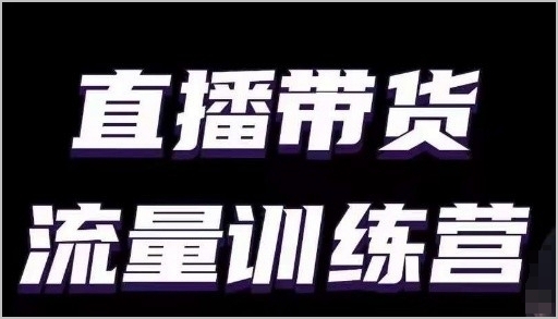 小白主播进阶之路：直播带货流量训练营揭秘