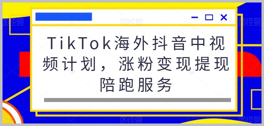 TikTok海外抖音中视频计划,涨粉变现提现陪跑服务