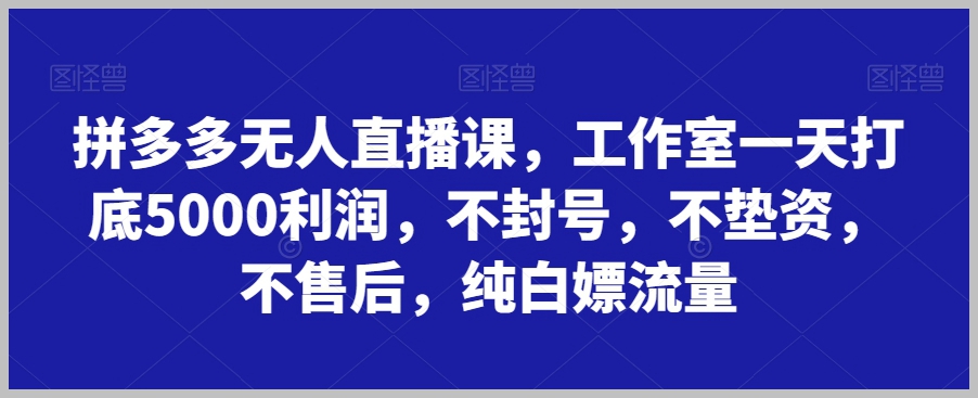 拼多多无人直播课，工作室一天打底5000利润，不封号，不垫资，不售后，纯白嫖流量