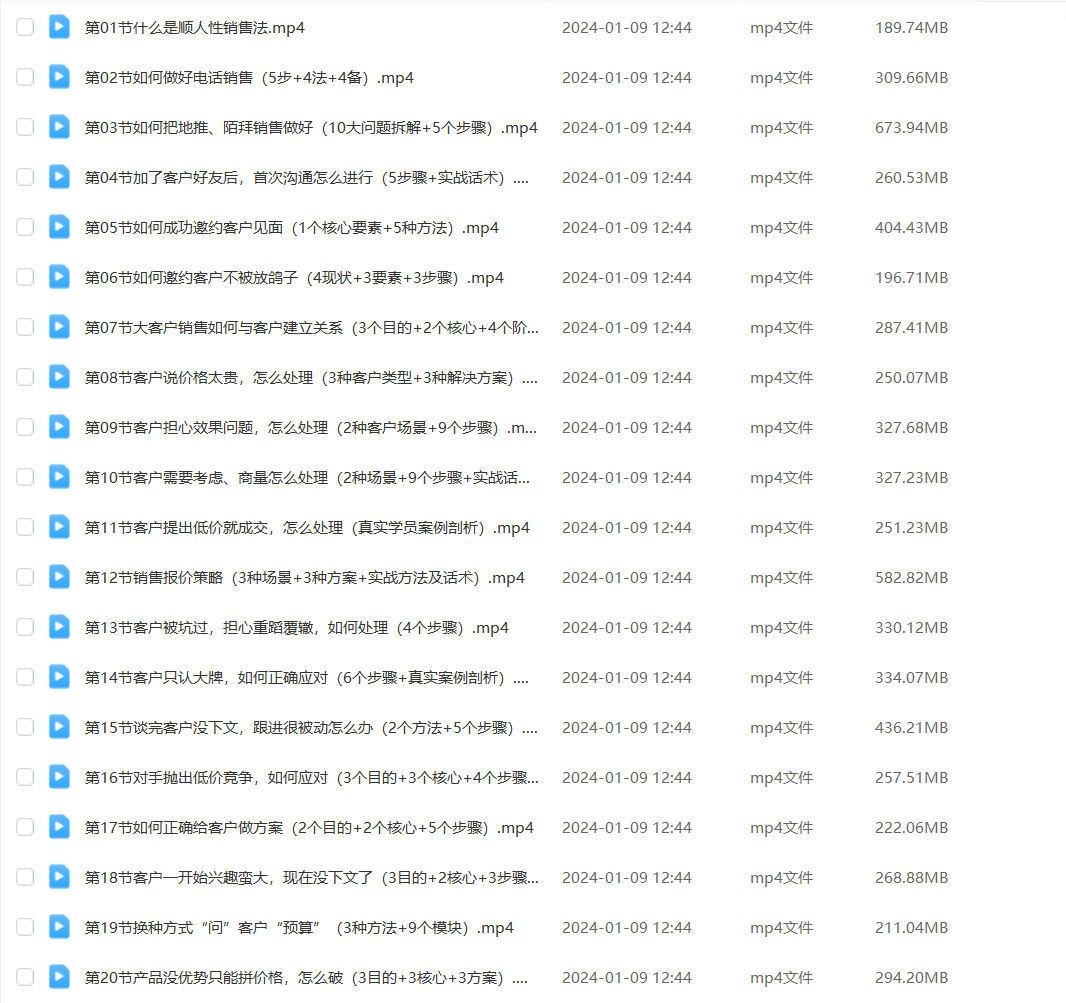 爆款!销冠训练营3.0之顺人性销售法,全方位解决销售难题、可落地、可执行、有结果