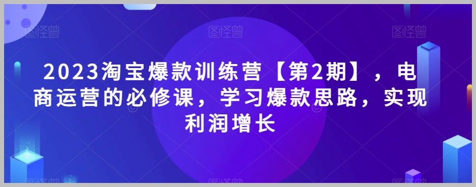 2023淘宝爆款训练营【第2期】,电商运营的必修课,学习爆款思路,实现利润增长