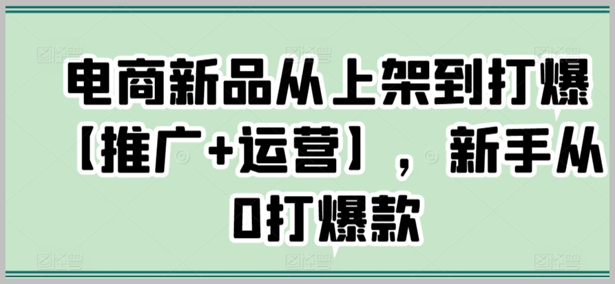 电商新品从上架到打爆【推广+运营】，新手从0打爆款