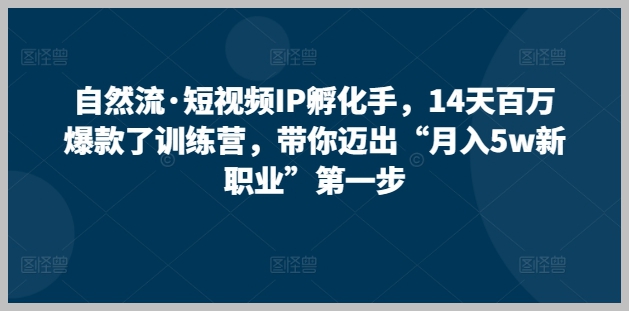 百万爆款之路,14天自然流·短视频IP孵化训练营带你启程!