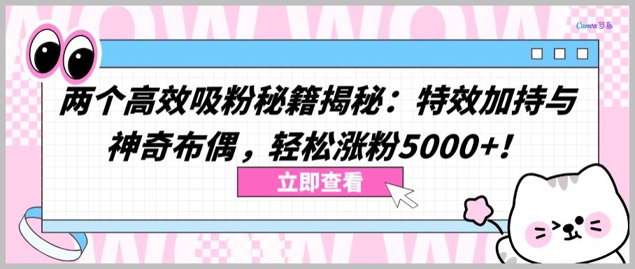 发现两大粉丝爆款:特效应用与神奇布偶,轻松扩展5000+粉丝【秘籍揭秘】