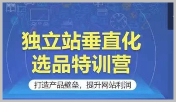利润倍增方案:独立站垂直化选品特训营全解析