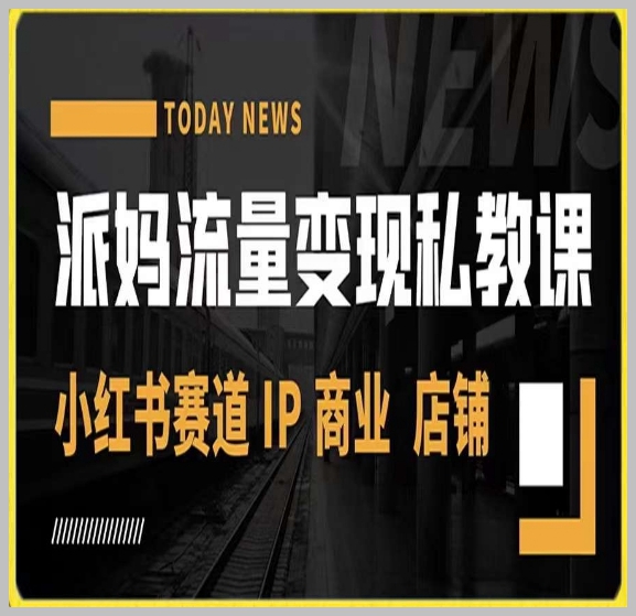 派妈流量变现私教课,小红书赛道IP 商业 店铺