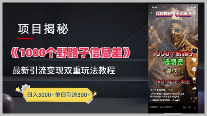 一千个野路子信息差最新玩法教程-变现+引流的核心策略【深度解析】