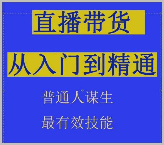 抖音直播带货：解密2024年最赚钱的在线谋生技能！
