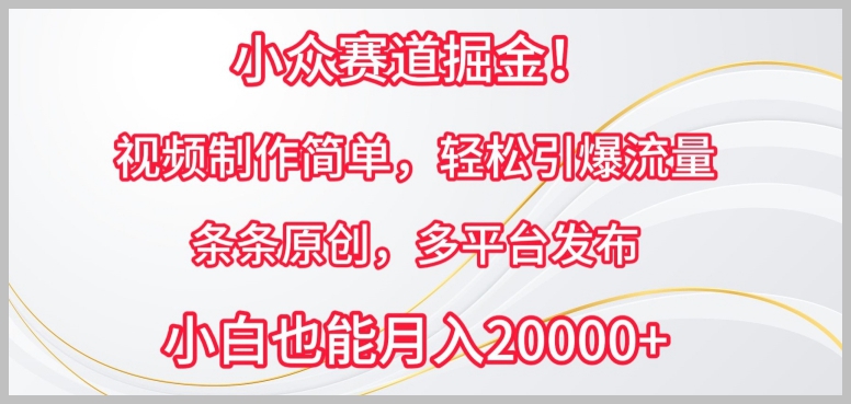 轻松挖掘小众领域:视频制作简便,助你引爆多平台流量