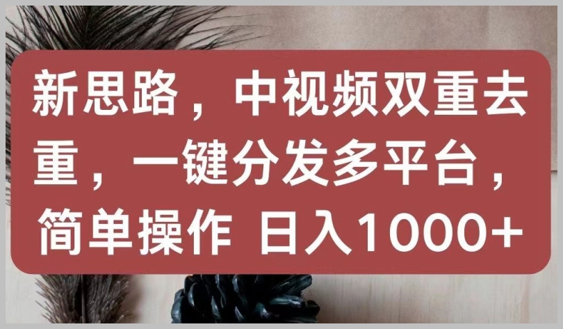 中视频新概念：双重去重技巧，多平台一键分发，轻松日赚1000+【揭秘】