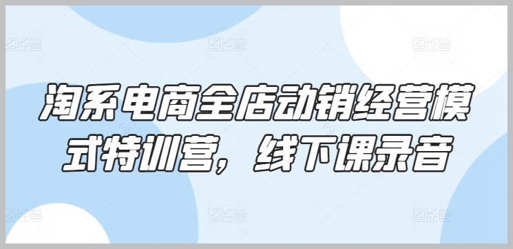 淘宝电商全店动销经营模式特训营,现场课程录音一览