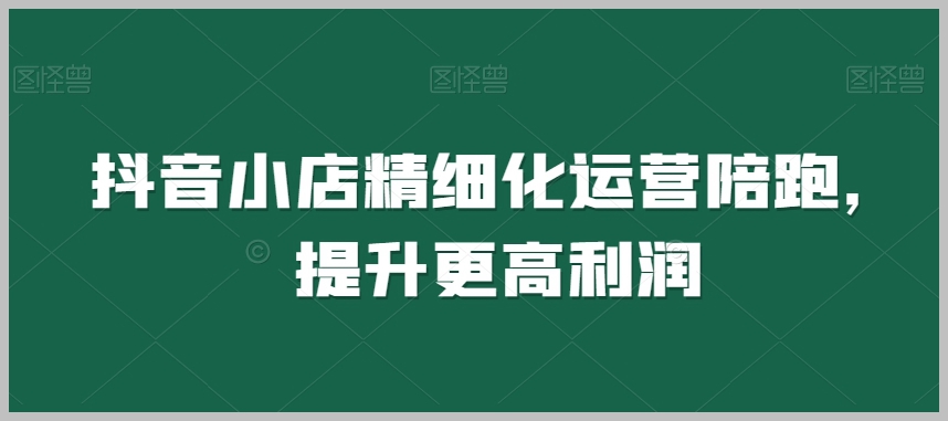 抖音小店精细化运营陪跑,提升更高利润
