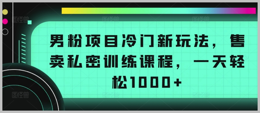 冷门新玩法:男粉项目如何销售私密训练课程?一日收入超过1000,秘密揭晓!