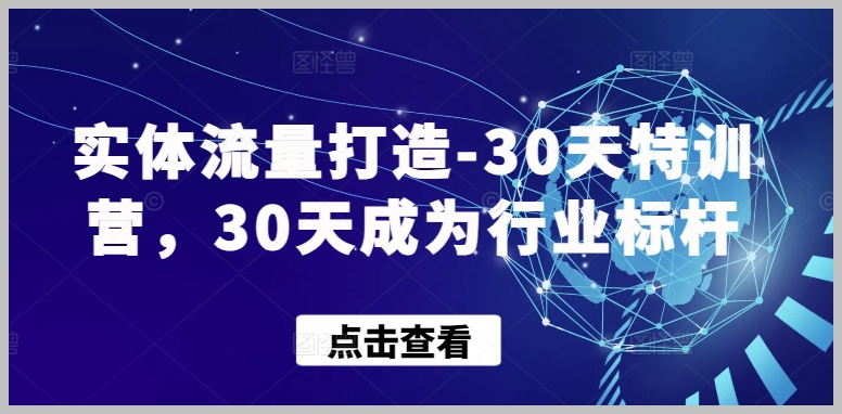 独家技巧揭秘:实体流量打造30天特训,引领行业标杆