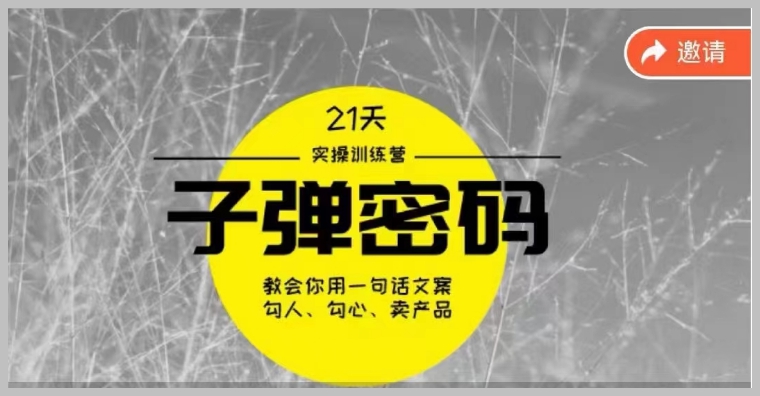 21天，学会顶级文案策略，开启《子弹密码训练营》之旅！