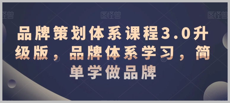 品牌策划体系课程3.0升级版,品牌体系学习,简单学做品牌