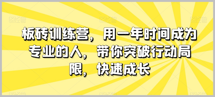 板砖训练营,用一年时间成为专业的人,带你突破行动局限,快速成长