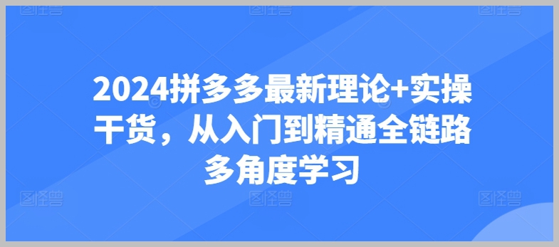 2024拼多多从入门到精通：最新理论与实操干货全覆盖