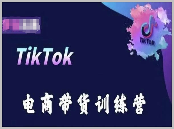TikTok电商带货班，抓住时代机遇，跨境赚钱秘籍