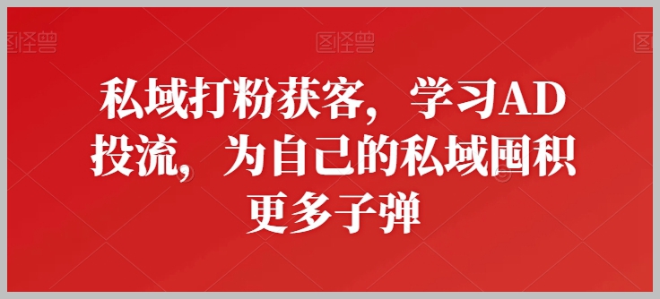 学习AD投流，私域打粉获客，快速囤积更多客户资源【揭秘】