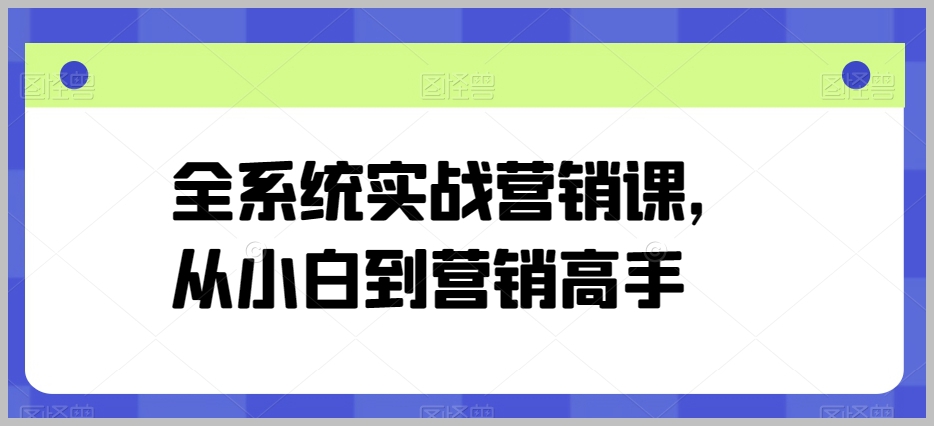 实战营销全系统课程：新手到行家一步到位