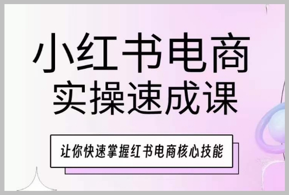 小红书电商实践指南：实操速成课，成就销售新高度