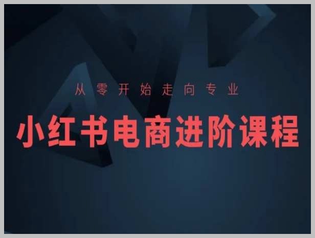 小红书电商新手指南：从入门到精通的进阶课程