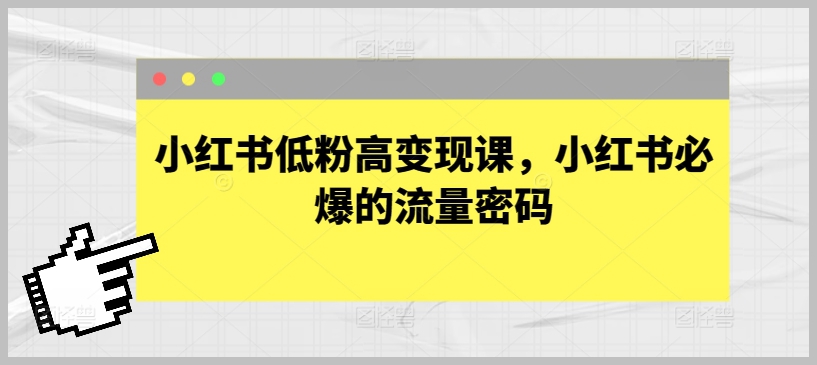解析小红书低粉高变现课，洞悉小红书流量的诀窍