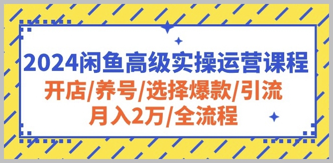 闲鱼高级运营2024：开店、养号、爆款选择和引流，助你月入2万