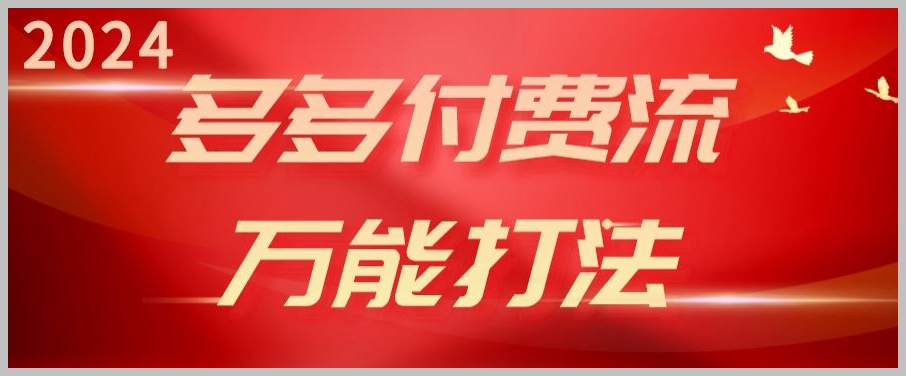 高投产背后的秘密：2024多多付费流的强付费起爆策略探究