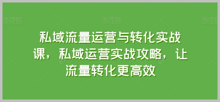 高效转化秘籍：私域流量运营实战课，掌握核心技巧