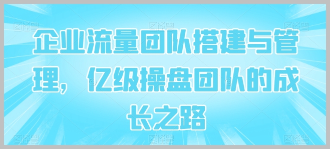 亿级操盘：企业流量团队的搭建与管理经验