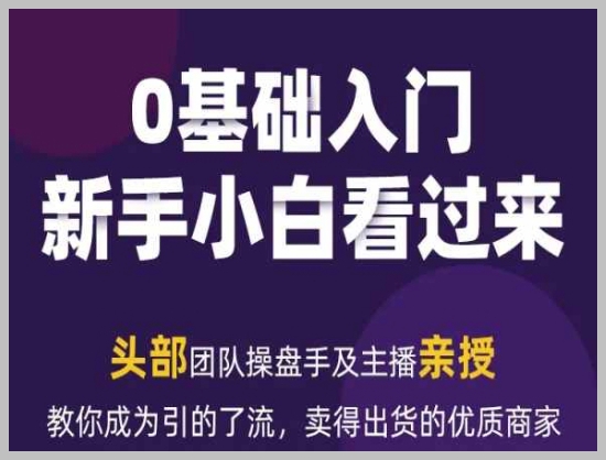 从流量到销售：2024新媒体运营笔记，打造顶级销售商家