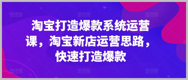 大海教你淘宝爆款：系统运营课程全覆盖