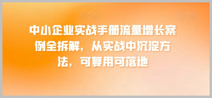 实战手册：中小企业流量增长案例全解析，方法易学易用