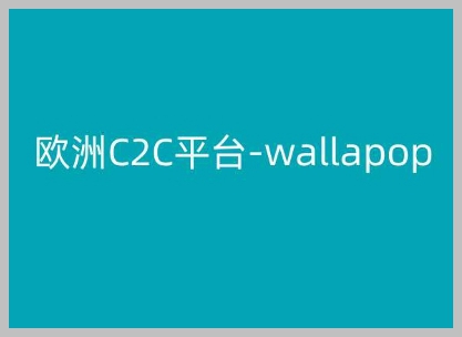 欧洲C2C电商平台Wallapop使用指南：Kim的跨境电商教程