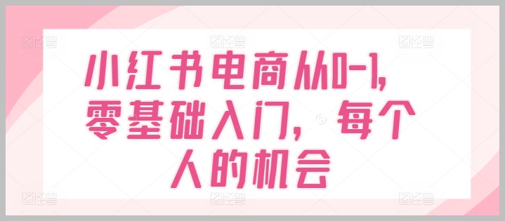 开启小红书电商之旅：零基础从0到1，掌握每个人的机会