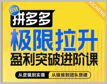拼多多利润极限提升课：详解算法、玩法和团队搭建的系统化方法