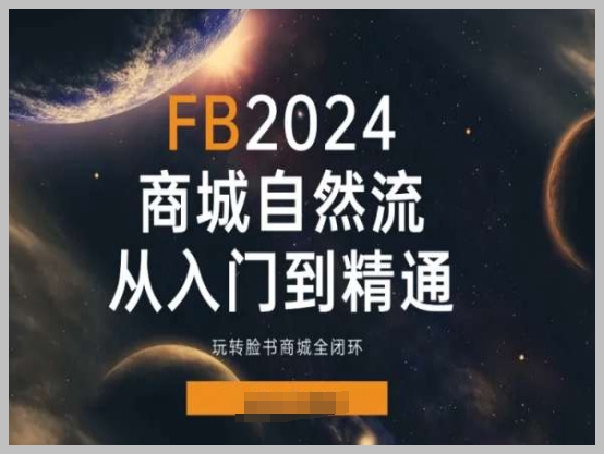 掌握2024脸书商城：全闭环自然流入门到精通课程