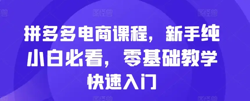 拼多多电商课程，零基础起步，教你一步步做电商