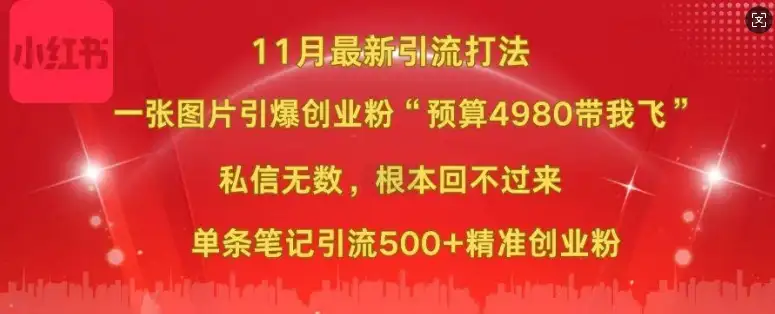 预算4980，小红书11月打粉新玩法，精准引流500+创业粉轻松搞定！