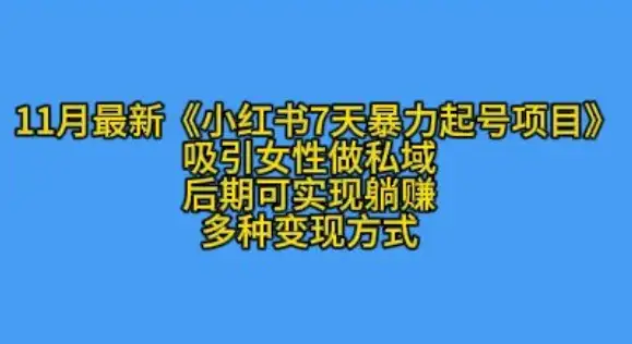 11月最新K总部小红书起号攻略：7天激活女性私域，快速见效！