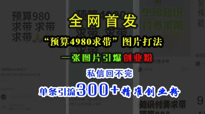 创业粉收割机：小红书4980元，一张图引爆私信狂潮