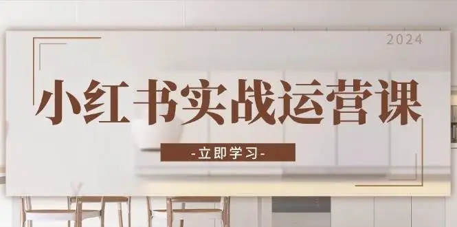 小红书店铺到直播全指南：实战运营课教你打造爆款