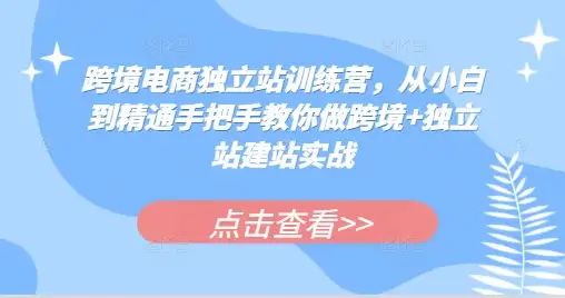 跨境电商独立站实战班：零基础学做独立站，手把手教你成高手！