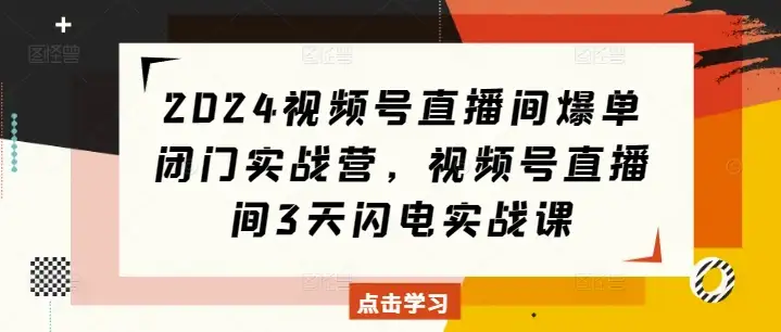2024视频号直播间实战课，3天带你从小白到爆单高手！