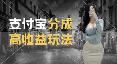 揭秘支付宝分成计划：轻松赚收益，交通事故视频助你月入过W！